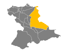 Pedromariafreites-anzoategui